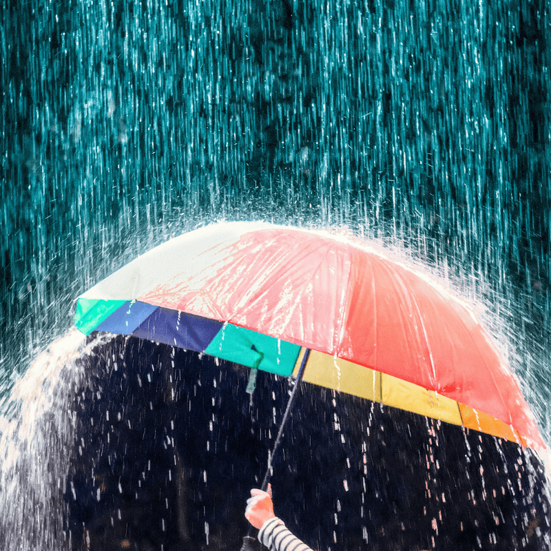 Rain & Humidity
