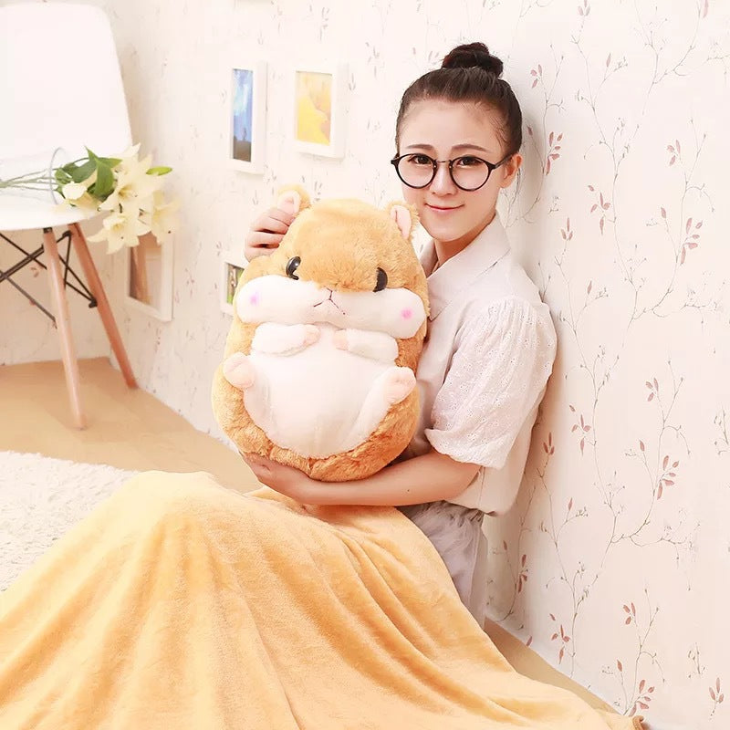 Hamster Pillow Blanket and Air Conditioner Cover