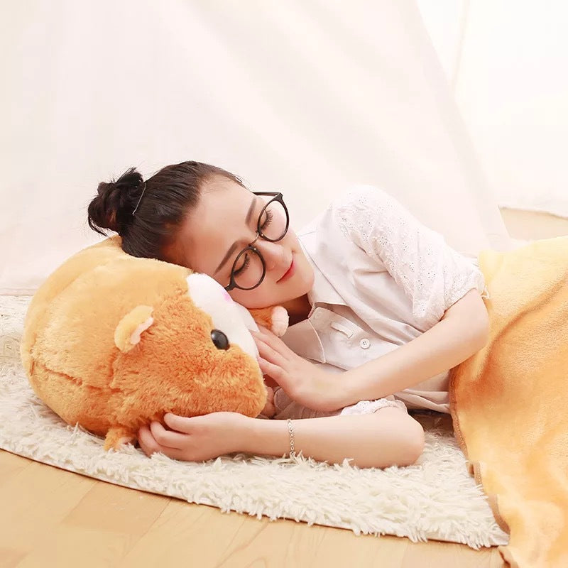 Hamster Pillow Blanket and Air Conditioner Cover